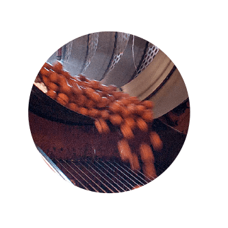 swipper3