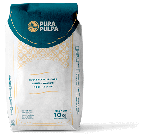 bolsa